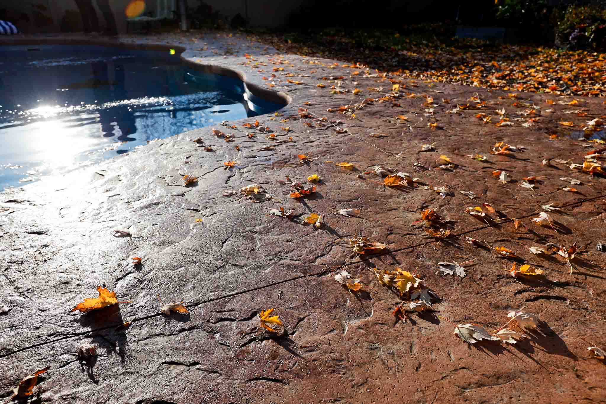 Leaves on stamp concrete left to fiberglass pool