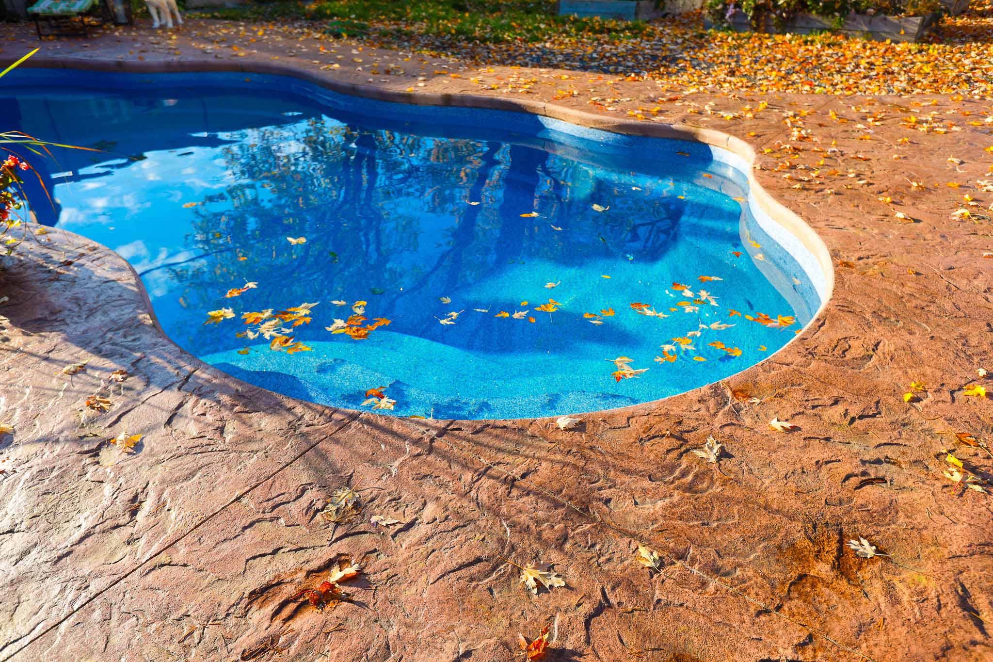 Stamp Concrete Around New Fiberglass Pool