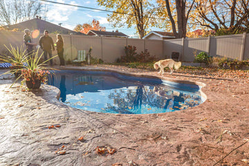 Dog walking on stamp concrete around newly installed fiber glass pool