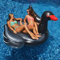 Giant Black Swan Ride-On Float - HB Pools